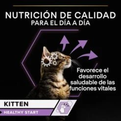 PURINA PRO PLAN Kitten Healthy Start 24 X 85 G En Latas -Ofertas Mascotas Tienda 1 puprpnwcadvhenocach23junbjcles 2