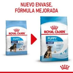 Royal Canin Maxi Puppy -Ofertas Mascotas Tienda 1 rc spt dry maxipuppy cv 1 es es 2