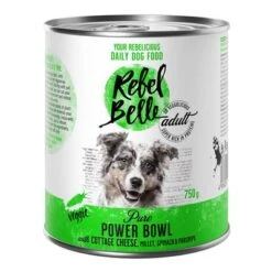 Rebel Belle Adult Comida Vegetariana Y Vegana Para Perros - Pack Mixto 25 Rebel Belle Adult Comida Vegetariana Y Vegana Para Perros - Pack Mixto -Ofertas Mascotas Tienda 1 rebelbelle adult power 750g 1000x1000 2