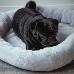 Cama Térmica HAFENBANDE Flory 17 Cama Térmica HAFENBANDE Flory -Ofertas Mascotas Tienda 200322 waagenschmitt hafenbande heizmatte flory hs 11 8