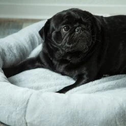 Cama Térmica HAFENBANDE Flory 15 Cama Térmica HAFENBANDE Flory -Ofertas Mascotas Tienda 200322 waagenschmitt hafenbande heizmatte flory hs 12 1