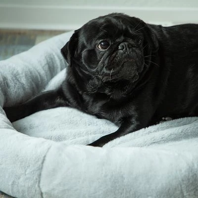 Cama Térmica HAFENBANDE Flory 4 Cama Térmica HAFENBANDE Flory - Imagen 4