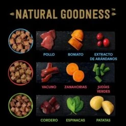 Cesar Natural Goodness Latas Para Perros -Ofertas Mascotas Tienda 2022 04 cesar naturalgoodness ingredients 1000x1000 es 2