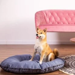 Cama Kapstadt 2 En 1 Modern Living Para Mascotas -Ofertas Mascotas Tienda 203436 geop katzenbett kapstadt 2in1 hs 01 1