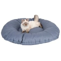 Cama Kapstadt 2 En 1 Modern Living Para Mascotas -Ofertas Mascotas Tienda 203436 kapstadt und katze fg 9819 3