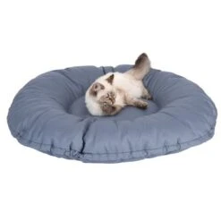 Cama Kapstadt 2 En 1 Modern Living Para Mascotas -Ofertas Mascotas Tienda 203436 kapstadt und katze fg 9820 4