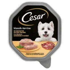 Cesar En Tarrinas 56 X 150 G -Ofertas Mascotas Tienda 206282pla marsgemany megapack cesar schale terrine 14x150g hs 01 1