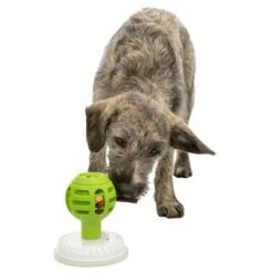 Trixie Licking Ball Pelota Rellenable Para Perros -Ofertas Mascotas Tienda 209078 trixie licknsnack ball hs 08 1