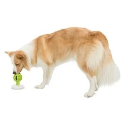 Trixie Licking Ball Pelota Rellenable Para Perros -Ofertas Mascotas Tienda 209078 trixie licknsnack ball hs 09 6