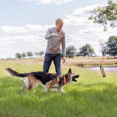 Trixie Caña Estimulante Juguete De Adiestramiento Para Perros 2 Trixie Caña Estimulante Juguete De Adiestramiento Para Perros - Imagen 2