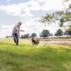 Trixie Caña Estimulante Juguete De Adiestramiento Para Perros 12 Trixie Caña Estimulante Juguete De Adiestramiento Para Perros -Ofertas Mascotas Tienda 209093 trixie reizangel hs 06 8