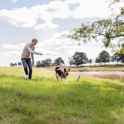 Trixie Caña Estimulante Juguete De Adiestramiento Para Perros 5 Trixie Caña Estimulante Juguete De Adiestramiento Para Perros - Imagen 5