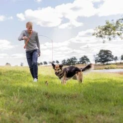 Trixie Caña Estimulante Juguete De Adiestramiento Para Perros 14 Trixie Caña Estimulante Juguete De Adiestramiento Para Perros -Ofertas Mascotas Tienda 209093 trixie reizangel hs 08 7