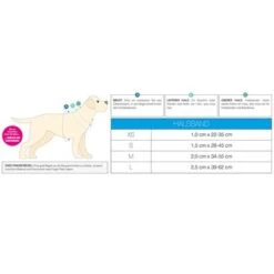 Collar Max & Molly Unicorn Con Smart ID Para Perros -Ofertas Mascotas Tienda 210397 209038 209039 210398 maxnmolly smartid halsband unicorn hs 07 8