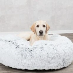 Cojín Redondo Trixie Harvey Para Mascotas -Ofertas Mascotas Tienda 211296 209069 211297 trixie kissen harvey rund hs 06 1