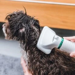 Cepillo Trixie De Aire Caliente -Ofertas Mascotas Tienda 212217 trixie warmluftbuerste 300w hs 18 5