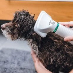 Cepillo Trixie De Aire Caliente -Ofertas Mascotas Tienda 212217 trixie warmluftbuerste 300w hs 19 8