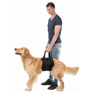 Arnés De Elevación Trixie Para Perros 2 Arnés De Elevación Trixie Para Perros - Imagen 2