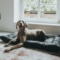 Cama Hunter Bologna Negra Para Perros -Ofertas Mascotas Tienda 214699 214700 hunter hundebett bologna schwarz hs 10 8