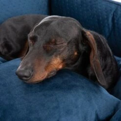 Cama Lublin Modern Living Con Cojín Para Perros -Ofertas Mascotas Tienda 218997 hundebett lublin fg 8655 6