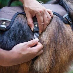 Arnés Ferplast Ergotrekking Marrón -Ofertas Mascotas Tienda 224505 224506 224507 ferplast ergotrekking geschirr braun hs 11 2