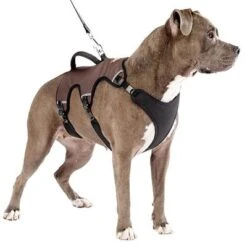 Arnés Ferplast Ergotrekking Marrón -Ofertas Mascotas Tienda 224505 224506 224507 ferplast ergotrekking geschirr braun hs 14 0