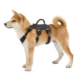 Arnés Ferplast Ergotrekking Negro -Ofertas Mascotas Tienda 224508 224509 224510 ferplast ergotrekking geschirr schwarz hs 10 4