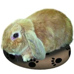 Almohadilla SnuggleSafe -Ofertas Mascotas Tienda 22802 snugglesafe heizkissen f r haustiere hs bunny01 8