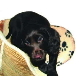 Almohadilla SnuggleSafe -Ofertas Mascotas Tienda 22802 snugglesafe heizkissen f r haustiere hs dog 1