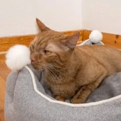 Cama Crown Para Mascotas 20 Cama Crown Para Mascotas -Ofertas Mascotas Tienda 233898 crown mit katze fg 8999 6