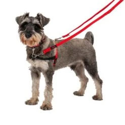 Correa Halti Para El Adiestramiento De Perros -Ofertas Mascotas Tienda 235202 coa halti trainingsleine rot hs1 0