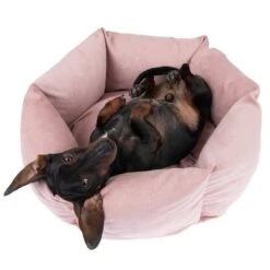 Cama Manila Para Mascotas -Ofertas Mascotas Tienda 235399 hundebett manila fg 0288 2