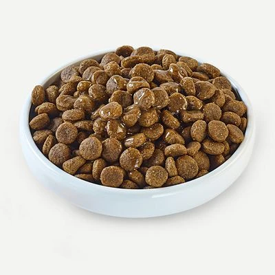 Applaws Taste Toppers En Bolsitas Para Perros 6 X 200 Ml 8 Applaws Taste Toppers En Bolsitas Para Perros 6 X 200 Ml - Imagen 8