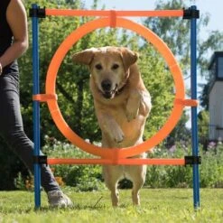 Aro Agility Fun & Sport 30 Aro Agility Fun & Sport -Ofertas Mascotas Tienda 23800 agility fun sport sprungring fg 12 8