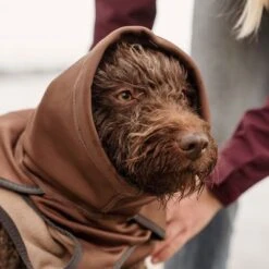 Abrigo Hurtta Bare Softshell Chocolate Para Perros -Ofertas Mascotas Tienda 247796 247797 247896 247897 247898 247899 bestfriend hurtta bare softshell hundejacke chocolate hs 13 6