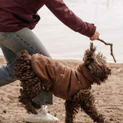 Abrigo Hurtta Bare Softshell Chocolate Para Perros -Ofertas Mascotas Tienda 247796 247797 247896 247897 247898 247899 bestfriend hurtta bare softshell hundejacke chocolate hs 23 1
