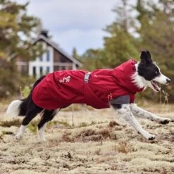 Abrigo Invernal Bare Late Harvest Hurtta Para Perros 19 Abrigo Invernal Bare Late Harvest Hurtta Para Perros -Ofertas Mascotas Tienda 247996 247997 247998 247999 248000 248096 248097 hurtta bare winterjacke late harvest hs 09 6