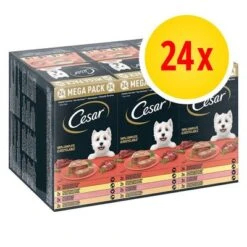 Cesar En Tarrinas 24 X 150 G - Megapack