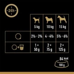 Cesar En Tarrinas 24 X 150 G - Megapack -Ofertas Mascotas Tienda 251196 mars megapack cesar scjale landraagout 24x150g hs 05 5