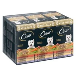Cesar En Tarrinas 24 X 150 G - Megapack -Ofertas Mascotas Tienda 251196 pla mars megapack cesar scjale landraagout 24x150g hs 01 3