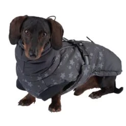 Abrigo Largo Reflecting Stars Para Perros -Ofertas Mascotas Tienda 262001 hundemantel reflecting stars fg 1916 4