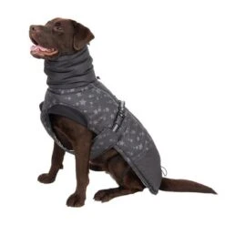 Abrigo Largo Reflecting Stars Para Perros -Ofertas Mascotas Tienda 262100 labrador fg 1982 1