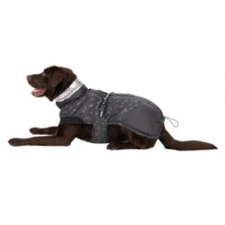 Abrigo Largo Reflecting Stars Para Perros -Ofertas Mascotas Tienda 262100 labrador fg 1988 8