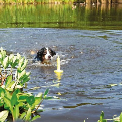 Juguete Trixie Aqua Toy MOT®-Aqua Para Perros 2 Juguete Trixie Aqua Toy MOT®-Aqua Para Perros - Imagen 2