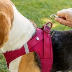 Arnés Curli Vest Clasp Air-Mesh Fucsia Para Perros -Ofertas Mascotas Tienda 267496 267304 267305 267306 curli vest geschirr clasp airmesh fuchsia hs 04 9