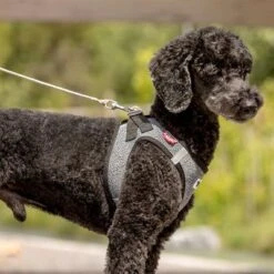 Correa De Bolsillo Curli Ultrarresistente 16 Correa De Bolsillo Curli Ultrarresistente -Ofertas Mascotas Tienda 267896 267897 ultrastarke taschenleine hs 05 3