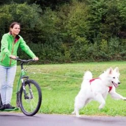 Correa De Bolsillo Curli Ultrarresistente 13 Correa De Bolsillo Curli Ultrarresistente -Ofertas Mascotas Tienda 267896 267897 ultrastarke taschenleine hs 07 2