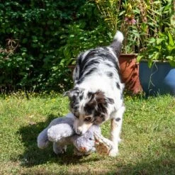 Conejo Elsie De Peluche Para Perros -Ofertas Mascotas Tienda 267996 elsie mit hund fg 3306 3