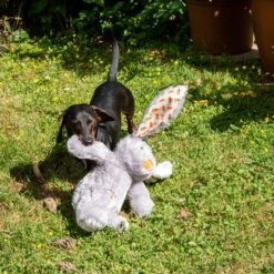 Conejo Elsie De Peluche Para Perros -Ofertas Mascotas Tienda 267996 elsie mit hund fg 3339 8