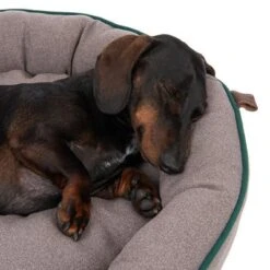 Cama Antibacteriana London Modern Living Para Perros -Ofertas Mascotas Tienda 274563 hundebett london fg 2759 0